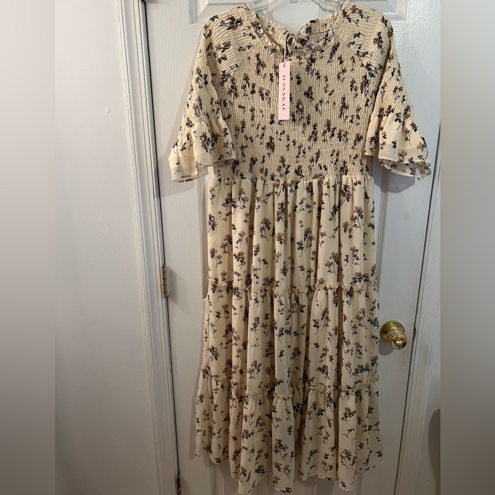NWT Jessakae dress